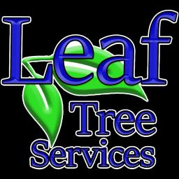 Leaf Tree Services provides expert tree care in Central Texas, ensuring healthy trees and safe properties since 2015.