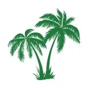 Professional cleaning services for windows, gutters, roofs, and more in Orlando.