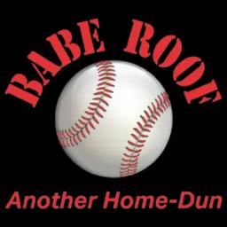 Babe Roof Corp is a family-owned roofing expert in Long Island, offering residential and commercial roofing since 2003.