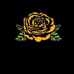 Yellow Rose Painting offers expert painting services in Central Texas, prioritizing customer satisfaction and quality workmanship.