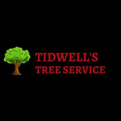 Tidwell's Tree Service offers expert tree care with 30+ years of experience in Macon, GA, and surrounding areas.