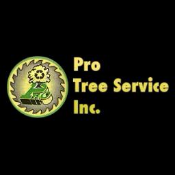 Pro Tree Service, Inc. offers reliable tree removal and care in Northeastern Ohio with 30 years of experience.