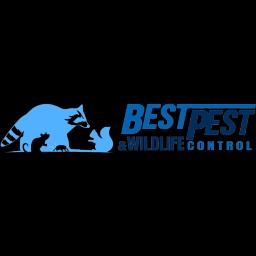 Best Pest & Wildlife Control offers humane pest and wildlife removal services across Arizona, California, and Colorado.