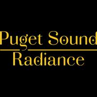 Permanent holiday lighting solutions enhancing homes in Snohomish and King counties.