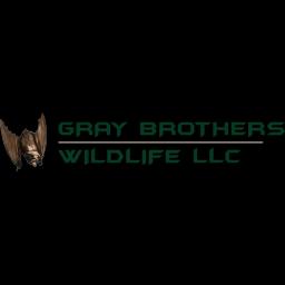 Gray Brothers Wildlife LLC provides humane wildlife removal and prevention services across Connecticut for over 30 years.