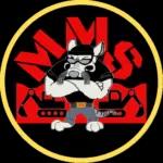 Mighty Mouse Services, LLC offers expert outdoor enhancements and marketing with over 20 years of experience.