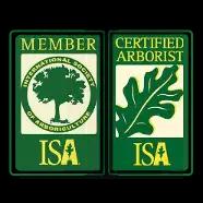 Arbor-Scapes Consulting provides expert tree assessment and care services in Jacksonville, FL for residential and commercial clients.