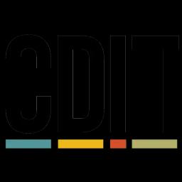 CDIT LLC delivers customer-driven IT and management solutions with integrity, focusing on software development since 2003.