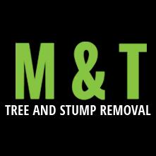 M & T Stump Removal offers tree and snow removal services in Papillion and Omaha, NE, with over 39 years of experience.