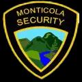Monticola Security provides professional and adaptable security services, emphasizing client-centric solutions and expert personnel.