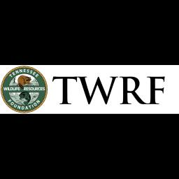 Tennessee Trappers offers humane wildlife removal and prevention services in Nashville and surrounding areas.