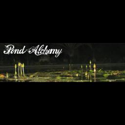 Pond Alchemy specializes in designing, building, and maintaining ponds and natural pools in South Florida.
