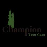 Champion Tree Care LLC offers expert tree services in Everett, WA, specializing in pruning, removal, and emergency response.