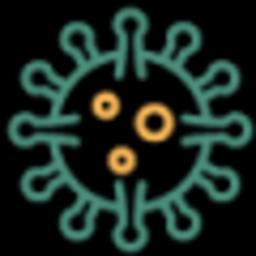 Expert mold removal and remediation services in El Paso, TX, ensuring safe and healthy living conditions for homes and businesses.