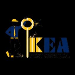 Family-owned pest control in Connecticut with 20+ years of experience ensuring pest-free homes and businesses.