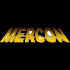 Mercon Construction Company offers high-quality site development and excavation services in Florida for over 15 years.