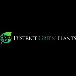 District Green Plants enriches commercial spaces with vibrant plant designs and premier landscaping services.