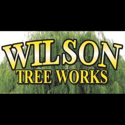 Wilson Tree Works offers expert tree care, pruning, and removal services in Northern Nevada, with certified arborists for safety.