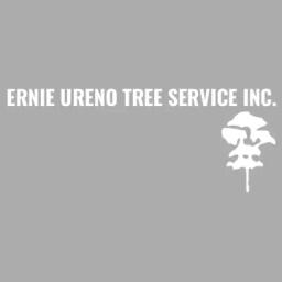 Professional tree services in Santa Ana, CA, offering removal, trimming, and stump grinding since 1980.