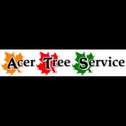 Acer Tree Service LLC offers professional tree removal and care in Fairfield County with over 15 years of experience.