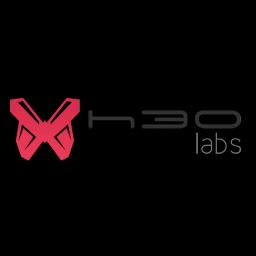H3O Labs specializes in IT security services, delivering cybersecurity solutions for government and commercial sectors.
