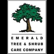 Expert tree care and plant health services in New York and Connecticut since 1996, committed to sustainability.