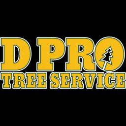 Local tree service in Fresno, offering pruning, removal, and stump grinding with professional expertise.