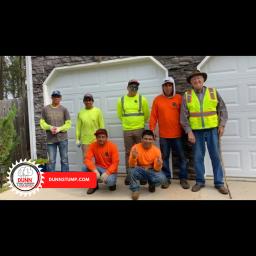 Dunn's Stump Grinding offers affordable, professional stump removal services in metro-Atlanta since 1999.