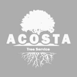 Expert tree care service in West Covina, specializing in trimming, removal, stump grinding, and brush clearance.