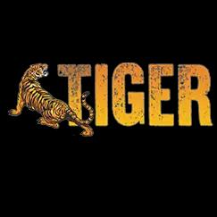 Expert paver sealing and restoration services in Ormond Beach, FL, enhancing patios and driveways for homes and businesses.