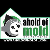 Expert mold remediation and water damage restoration services since 1996 in Ormond Beach, FL.