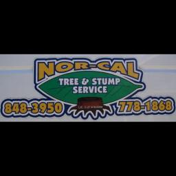 Nor-Cal Tree and Stump offers expert tree removal, trimming, and landscaping services in Santa Clara County since 1977.
