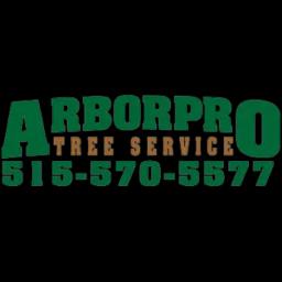Expert tree services in Ankeny, IA, offering removal, trimming, treatment, and hauling since 2011.