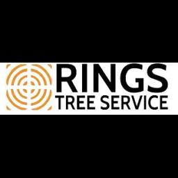 Expert tree care services in New Orleans focusing on removal, pruning, and maintenance for homes and businesses.