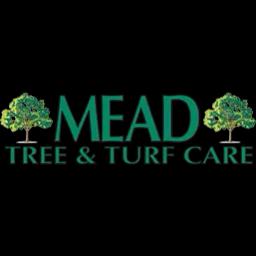 Expert tree care and landscaping services in Maryland since 1979, dedicated to safety and quality.