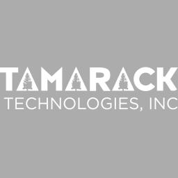Tamarack Technologies Inc. provides comprehensive management and technical solutions for security, engineering, and IT services.