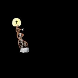 Custom home building and design focused on family, community, and client satisfaction in Washington State.