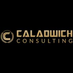 Veteran-led consulting firm specializing in supply chain, operations, and IT services to drive client success.