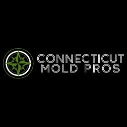 CT Mold Pros specializes in expert mold remediation, water damage restoration, and improving indoor air quality in Connecticut.