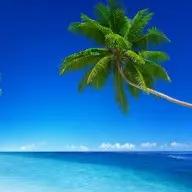 ResCalc provides energy calculations and MEP drawings across Florida since 1996.