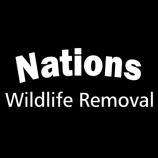 Expert wildlife removal and damage repair services in Madison, MS by a trusted, veteran-owned company.