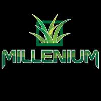 Millenium Artificial Turf provides professional, high-quality artificial grass installation for homes and businesses.