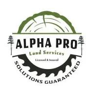 Alpha Pro Land Services: Expert land clearing and tree services in Central & North Florida.