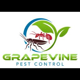 Local, family-owned pest control experts in North Texas. Over 60 years of reliable services for homes and businesses.
