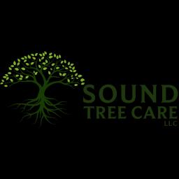Expert tree care services in Seattle with 18+ years of experience, offering removal, pruning, and arboricultural consulting.