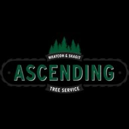 Professional tree service in Bellingham, WA, specializing in hazardous tree removal and timber marketing.