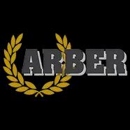 Arber Inc: 20+ years of expertise in security services, offering tailored solutions for homes, businesses, and government.