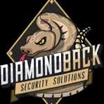 Diamondback Security Solutions: Arizona's trusted provider of custom security screens, ensuring safety and style for homes and businesses.