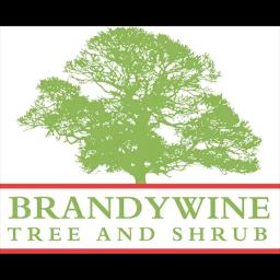 Brandywine Tree & Shrub offers expert tree care, removal, and lot clearing services in Wilmington and Milford, DE.
