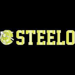 STEELO CLEANING LLC: a minority women-owned facility management company committed to excellence and environmental responsibility.